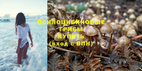 синтетический гашиш Туринск