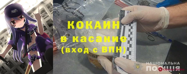 сатива Тутаев