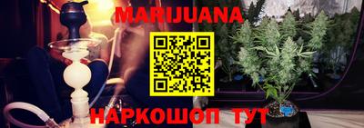 сатива Аргун