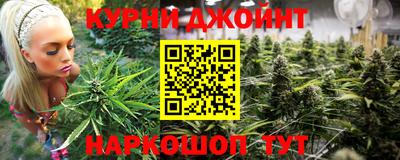 сатива Аргун