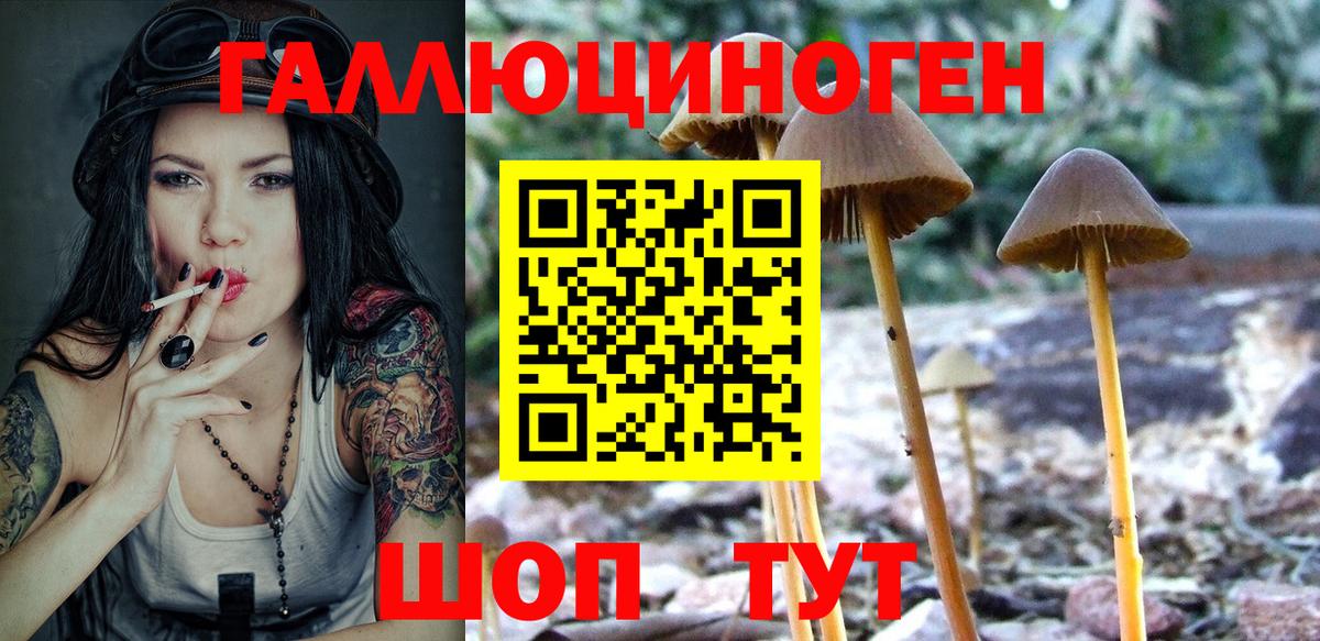 Галлюциногенные грибы Magic Shrooms  Балашиха 
