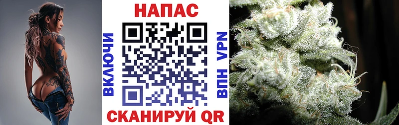 Конопля гибрид  Балашиха 